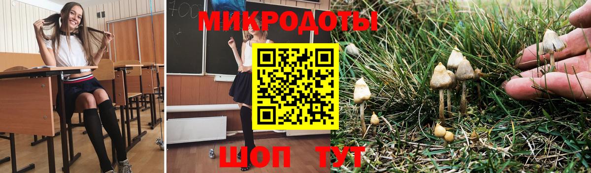 Галлюциногенные грибы Psilocybe Канаш